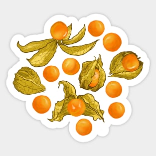 Physalis - Golden berries on light yellow Sticker